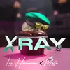 About XRAY Song