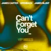 Can’t Forget You (feat. James Blunt) [Ofenbach VIP Remix]