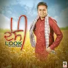 About Desi Look Song