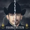 About Frankenstein Song