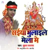 About Saiya Bhulaile Mela Me Song