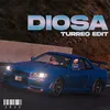 About Diosa (Turreo Edit) Song