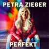 About Perfekt! Song