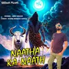 About Naatha Ka Naath Song