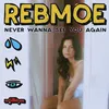 About Never Wanna See You Again Song