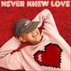 About Never Knew Love (feat. Enisa) Song