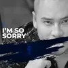 About I'm So Sorry Song