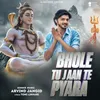 About Bhole Tu Jaan Te Pyara Song