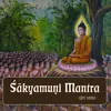 About Śākyamuṇi Mantra Song