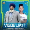 About Vigde Jatt Song