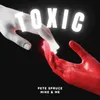 About Toxic Song