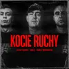 About Kocie ruchy Song