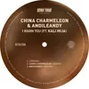 I Warn You (feat. Kali Mija) [China Charmeleon Version]