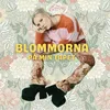 About Blommorna på min tapet Song