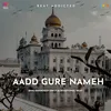 About Aadd Gure Nameh Song