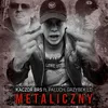 About Metaliczny (feat. Paluch, Grzybek LD) Song