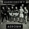 About Hardkorowy Aerobik Song