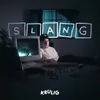 About Slang Song