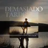 About Demasiado Tarde Song