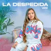 About La Despedida Song