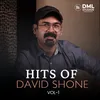 Hits of David Shone