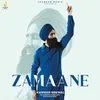 About Zamaane Song