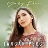 About Jangan Pergi Song