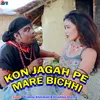 Kon Jagah Pe Mare Bichhi