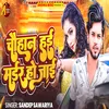 About Chauhan hai Madar Ho Jai Song