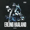 About Erling Haaland (Elet Adab) Song