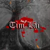 Tìm Lại