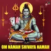 Namah Shivaya