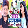 About Jaib Sasural Maal Jan Pataiha Ho Song