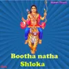 About Bootha Natha Shloka Song