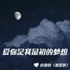 About 愛你是我最初的夢想 Song