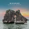 About Wonder Song