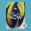 About Feeling Now Song