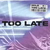 About Too Late Song