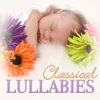 Songs for Voice and Piano, Op. 49: Lullaby (Arr. for Orchestra)