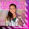 About La Festa (Levin Ross Remix) Song