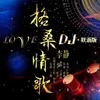 格桑情歌 (DJ默涵版)