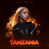 About Tanzania (feat. Sino Msolo and Boibizza) Song