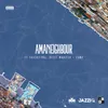 About Amaneighbour (feat. Reece Madlisa, Zuma and ThackzinDJ) Song
