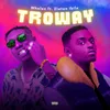 Troway (feat. Zlatan)