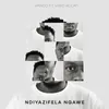 About Ndiyazifela Ngawe (feat. Viwo Kulati) Song