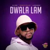 About Dwala Lami Song