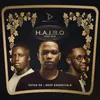 About HAIBO (VSOP Mix) Song
