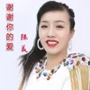 About 謝謝你的愛 Song