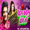 About Dil Kailu Chori Ho Song