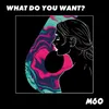 About What Do You Want? Song